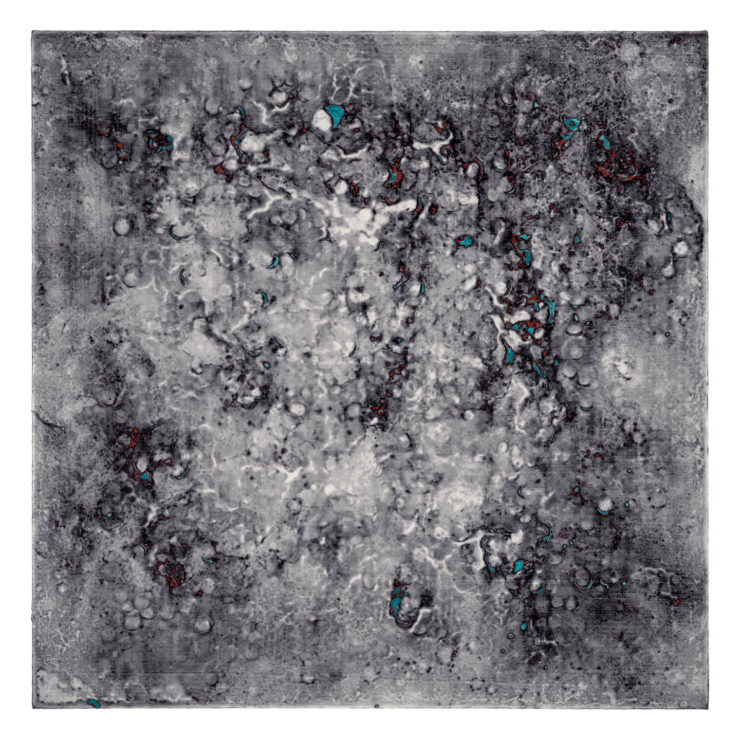 Image-19