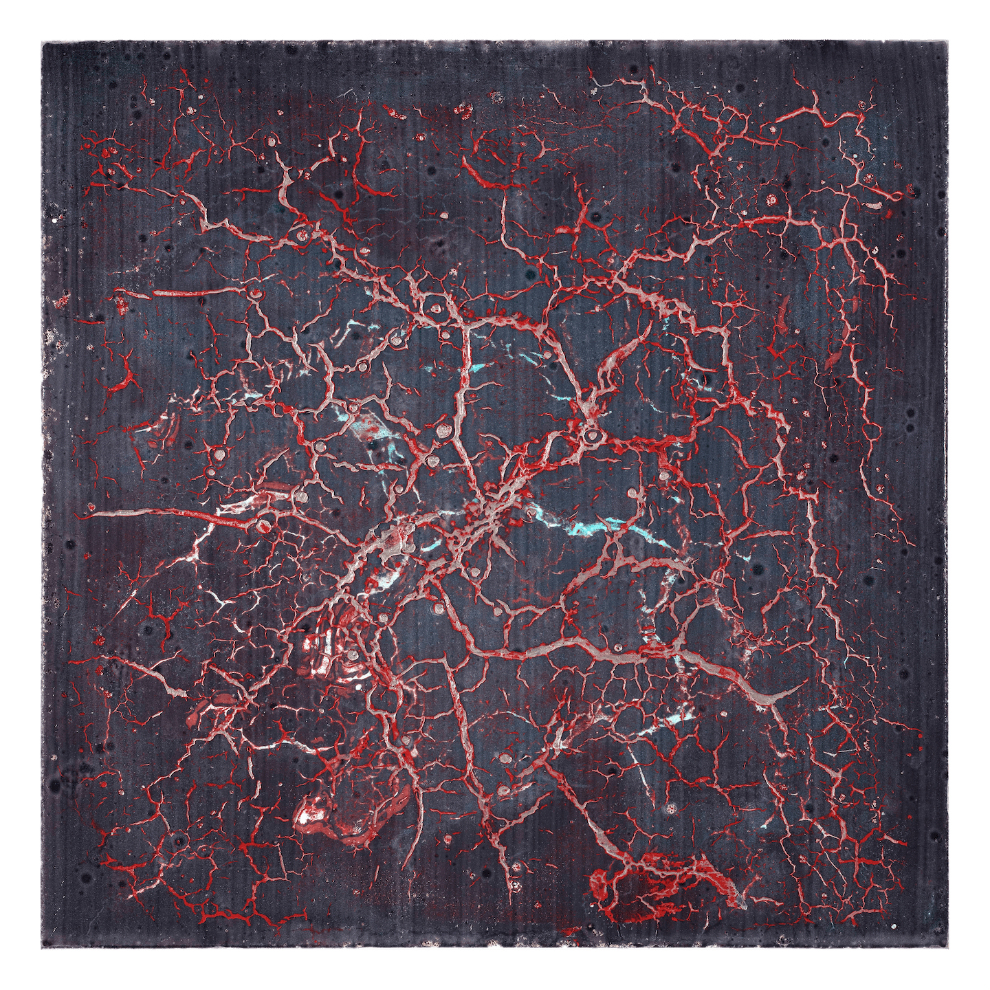 Image-4